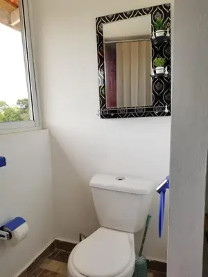 a bathroom with a white toilet and a mirror at Wilkan Hotel in Las Terrenas