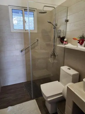 a bathroom with a shower and a white toilet at Chalet los Pinos Constanza in Arroyo Frío
