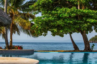 a swimming pool next to the ocean with palm trees at The Cove Apartment Second Floor 5C in Santa Bárbara de Samaná