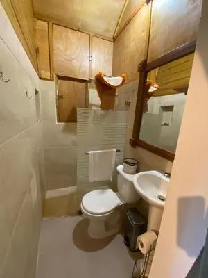 a small bathroom with a toilet and a sink at Villas Don Che, 2 villas in Jarabacoa