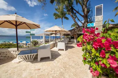 a beach with chairs and umbrellas and pink flowers at Room #28 at Waterfront Playa Alicia in Sosúa