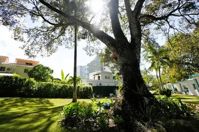 a tree in a yard with a house in the background at Room #26 at Waterfront Playa Alicia in Sosúa