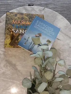 two books sitting on a table next to a plant at Cómodo y Equipado Apt Cerca del Malecón in Santo Domingo