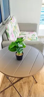 a coffee table with a plant on top of it at Casa familiar in San Pedro de Macorís