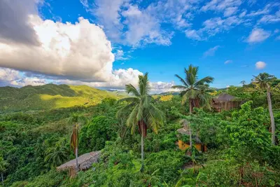 a view of a tropical forest with palm trees at Tropical Cottage En Eco Casa Algana in El Limón
