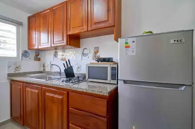 a kitchen with a white refrigerator and wooden cabinets at Studio in Los Jardines Sleeps 2 in Santo Domingo