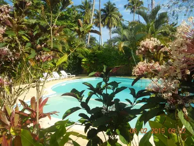 a swimming pool in a garden with trees and flowers at Caoba in Las Terrenas