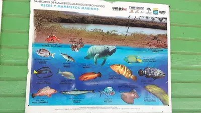 a poster of fish in the water at Villa Rosa in Punta Rucia