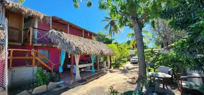 a house with a straw roof and a tree at Villa Rosa in Punta Rucia