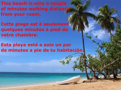 a beach with a palm tree and a boat on the beach at Jungle Hut near Beach - Nature Lovers in Las Terrenas