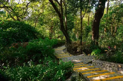 a stone path in a park with trees and bushes at Hacienda La Huerta Puerto Plata, 1 BDR in San Felipe de Puerto Plata