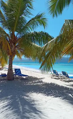 two chairs and a palm tree on a beach at BUNGALOWS COLIBRI in Las Galeras