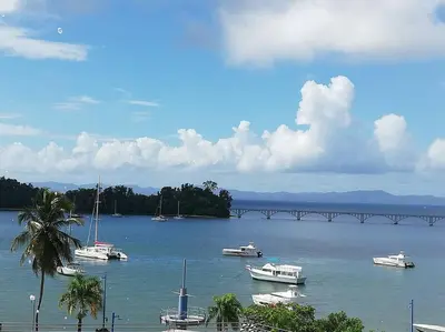 a group of boats in a river with a bridge at Apart cercano al muelle y al malecón de Samana in Santa Bárbara de Samaná