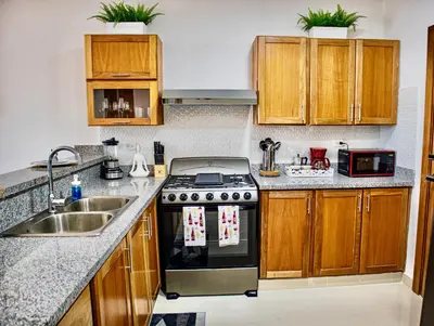a kitchen with a stove and a sink at Super Luxurious L6 Sky Blue Apartment in Santo Domingo