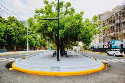 a tree in the middle of a street at Super Luxurious L6 Sky Blue Apartment in Santo Domingo