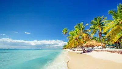 a beach with palm trees and the ocean at Espectacular BZII, bayahibe in Bayahibe