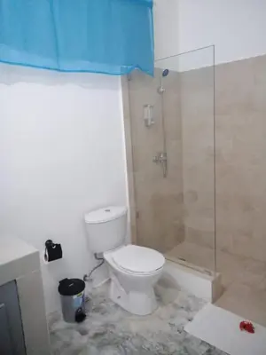 a bathroom with a toilet and a shower at Casa merengue in Las Terrenas