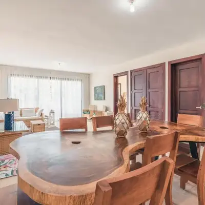 Beautiful 2 BR apartment at Portillo