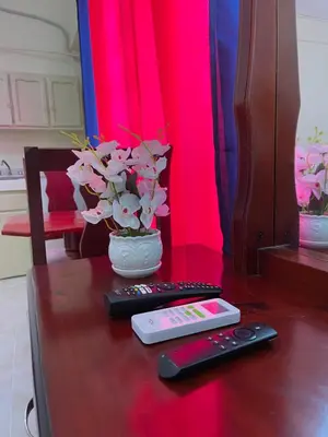 two remote controls on a table with a vase with flowers at VBermor Hotel in Santo Domingo