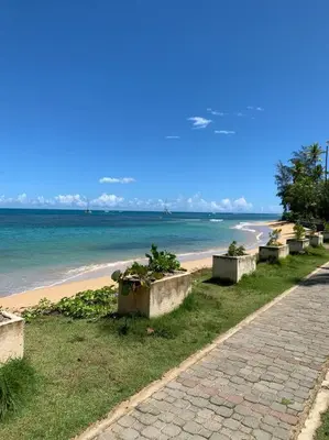 a beach with a row of cement planters and the ocean at Excelente apartamento en Las Terrenas, Playa Punta Popi. in Las Terrenas