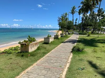 a brick path next to a beach with palm trees at Excelente apartamento en Las Terrenas, Playa Punta Popi. in Las Terrenas