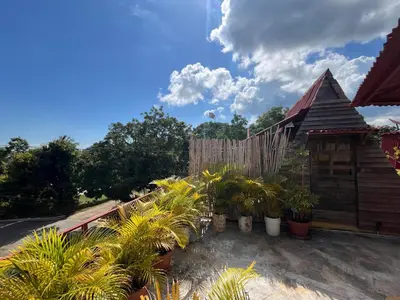 a fence with plants in front of a house at Tinyhouse samaná