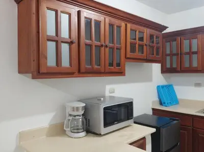 a kitchen with a counter top with a microwave at Dominican Suite 21, Amazing Apt/Studio (DS21) in San Felipe de Puerto Plata