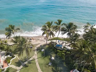 an aerial view of a beach with palm trees and the ocean at CABARETE BEACH HOUSES the NANNY ESTATES in Cabarete
