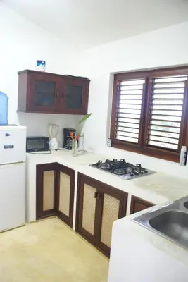 a kitchen with a sink and a stove at Bungalow de Ballenas in Punta Balandra