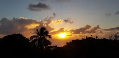 a sunset with a palm tree in front of the ocean at Bungalow de Ballenas in Punta Balandra