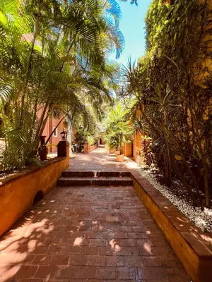 a cobblestone street with palm trees and a building at Paseo Colonial - Sabbatical #1 in Santo Domingo