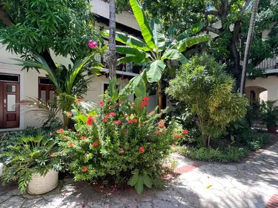 a garden with flowers and plants in front of a building at Paseo Colonial - Sabbatical #1 in Santo Domingo