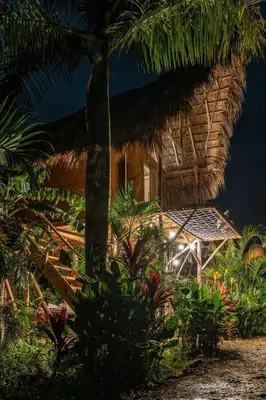a straw hut with a palm tree and some plants at Samana Ecolodge in El Limón