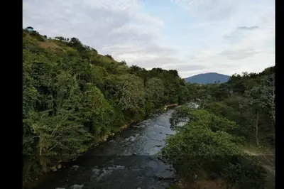 a river in the middle of a forest at Habitación Hogareña in Jarabacoa