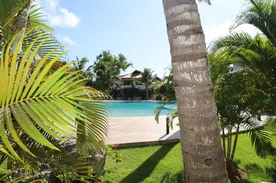 a pool with a palm tree next to a house at Paraiso Bayahibe by Mireya in Bayahibe
