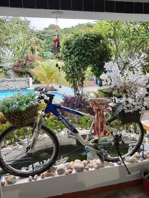 a bike parked in front of a garden at Doña Mayra Aparta Hotel in Las Terrenas
