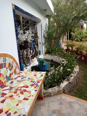a patio with a bench and a water fountain at Doña Mayra Aparta Hotel in Las Terrenas