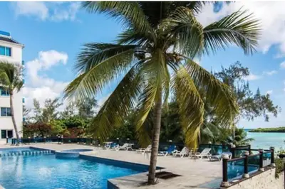 a palm tree sitting next to a swimming pool at Dpto Dream Village Boca Chica frente a la playa in Boca Chica