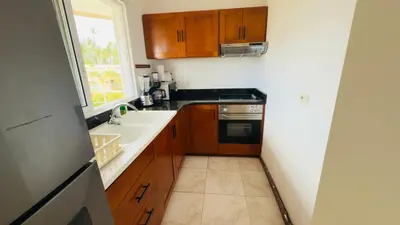a kitchen with wooden cabinets and a sink and a window at Don Cesar Beachfront Apartments in Las Terrenas