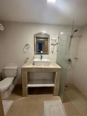 a bathroom with a sink and a toilet and a shower at Noe Hotel Punta Cana in Punta Cana