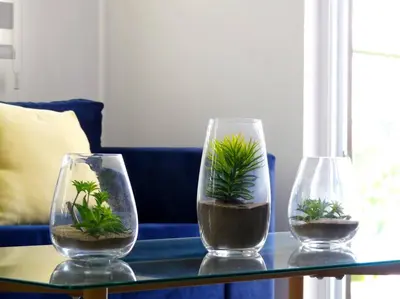 three glass vases with plants in them on a table at Dreams Room Soha II in Santiago de los Caballeros