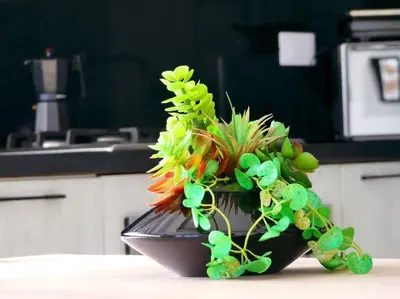 a black bowl with a plant on a table at Paradise Room Rialto Residences in Santiago de los Caballeros