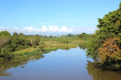 a view of a river with trees in the background at Casa Bonita Pimentel in Pimentel